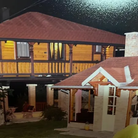 Apartament Domacinstvo Ilici ,gunjaci