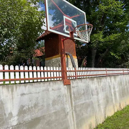 Domacinstvo Ilici ,gunjaci