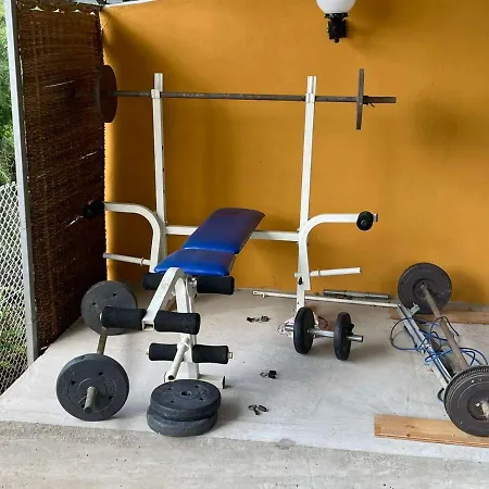 Domacinstvo Ilici ,gunjaci