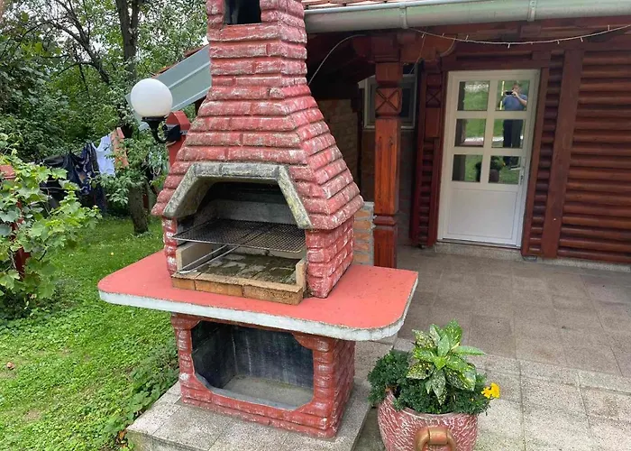 Domacinstvo Ilici ,gunjaci