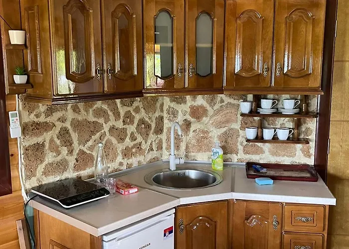 Domacinstvo Ilici ,gunjaci Apartment *