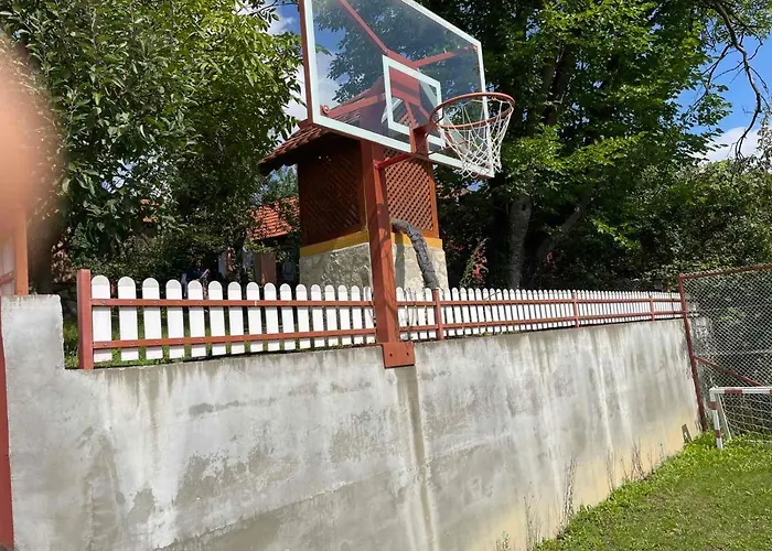 Domacinstvo Ilici ,gunjaci