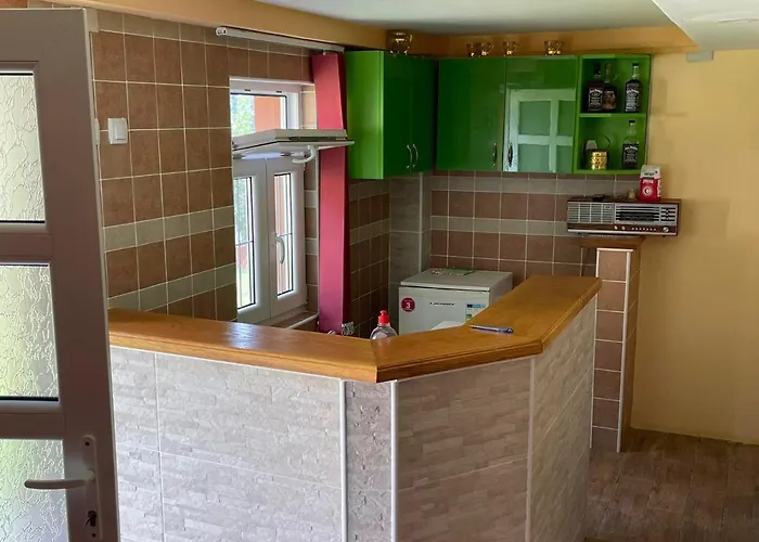 Domacinstvo Ilici ,gunjaci *