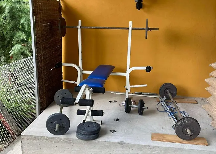 Domacinstvo Ilici ,gunjaci